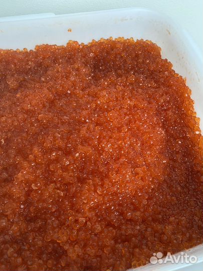 Красная икра