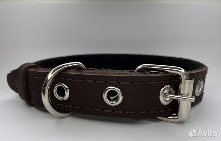 Ошейник для собак