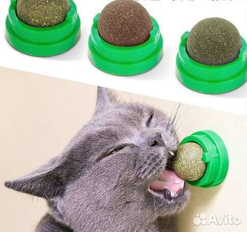 Набор Щетка и кошачья мята для кошек