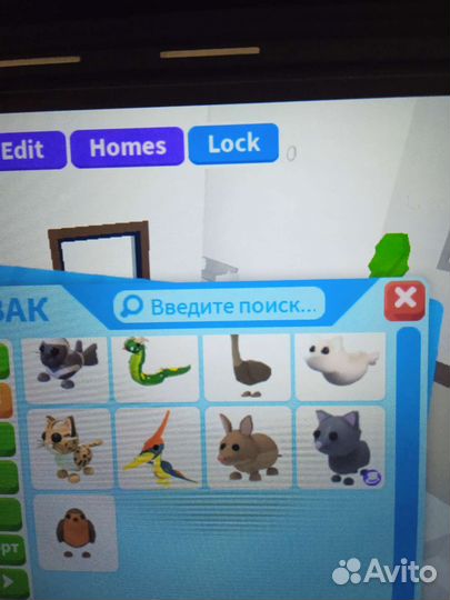 Одопт ми петы