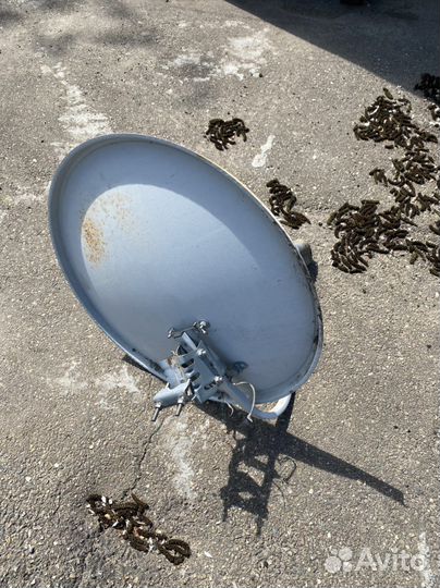 Спутниковая тарелка
