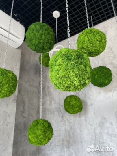 Шары из мха