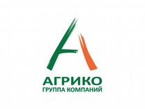 Авито avito ru бесплатные