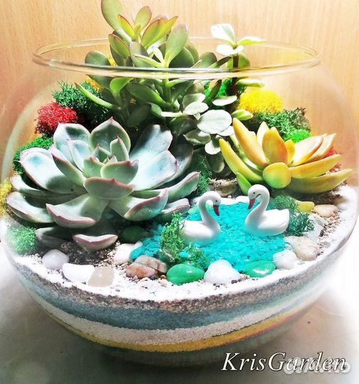 Флорариум подарок