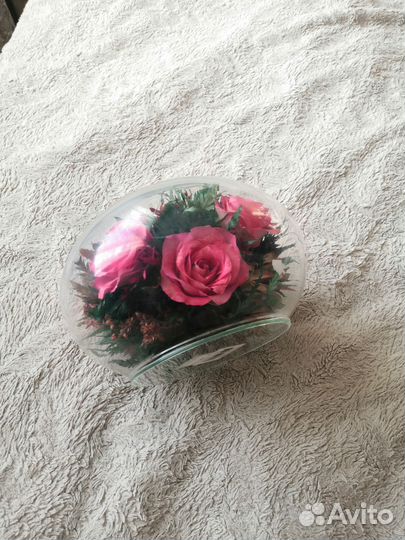 Стабилизированные цветы в стекле