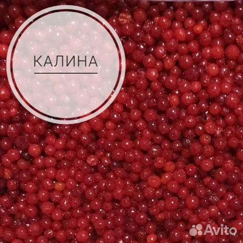 Калина свежемороженая