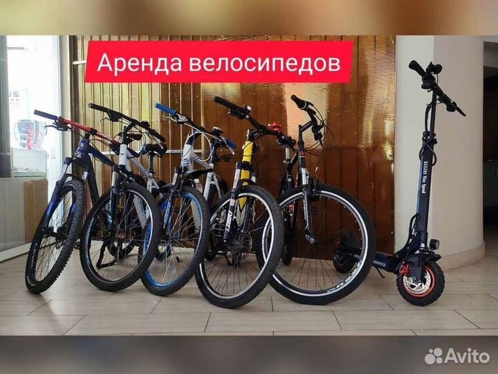 Прокат велосипедов