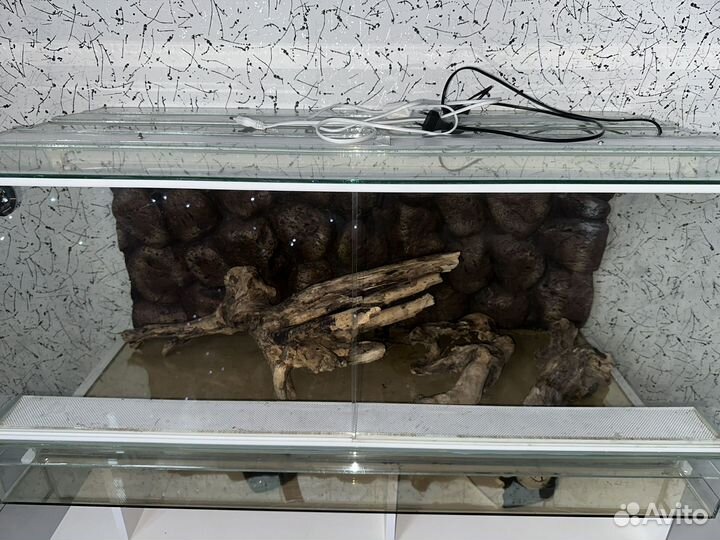 Террариум для рептилий