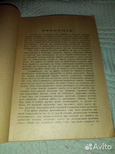 1917г Плодовый сад Яблоня и груша