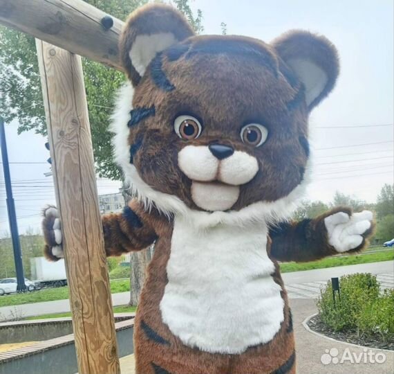 Ростовая кукла, Тигрёнок, Аниматор, поздравление