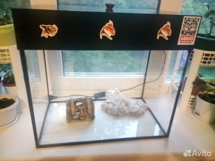 Аквариум, аквариумные растения