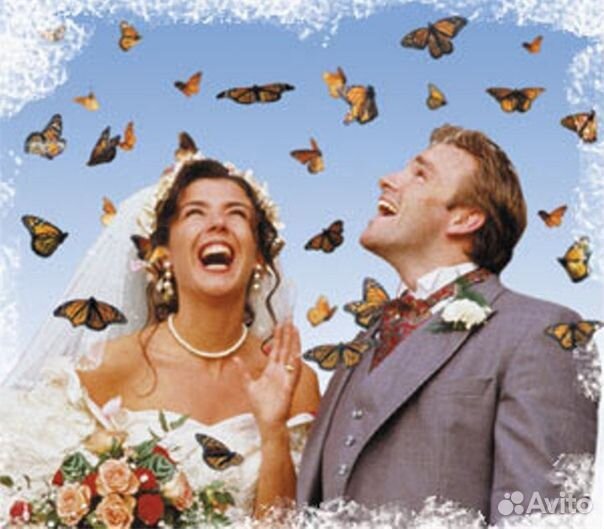 Франшиза Салюты из Живых Тропических Бабочек 2134