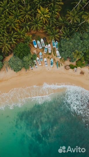 Горящий тур на Шри Ланку