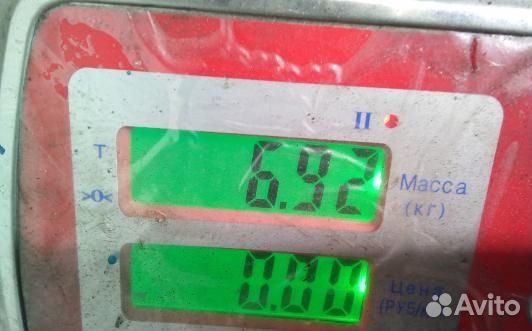 Шкив коленвала демпферный дизельный BMW X5 E53 (YA