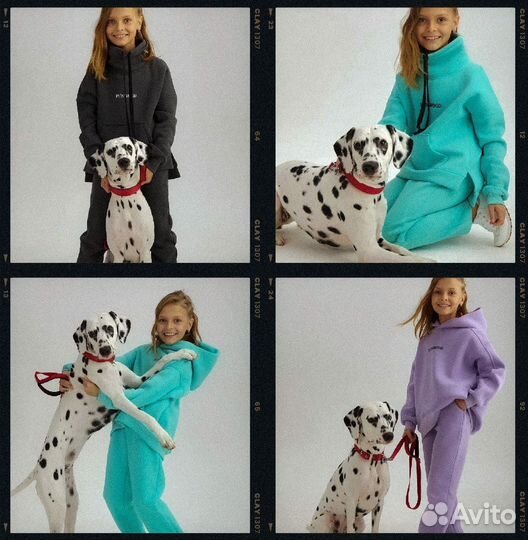 Фотосессия с далматином