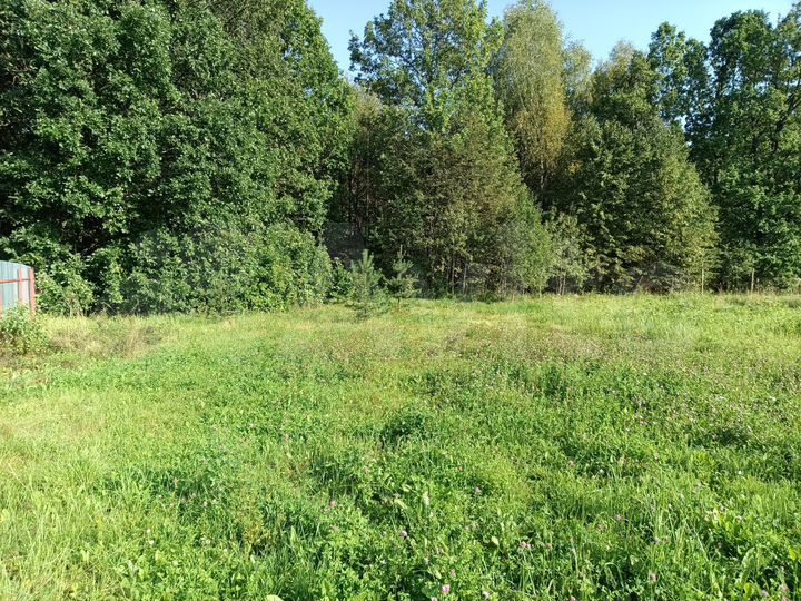 Участок 12 сот. (ИЖС)