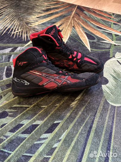 Борцовки asics cael v5.o