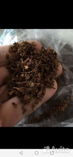 Самосад готовый