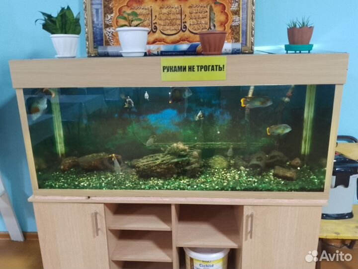 Аквариум и фильтр для аквариума