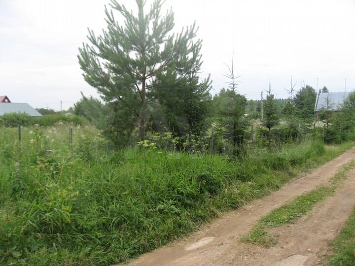 Участок 24 сот. (СНТ, ДНП)