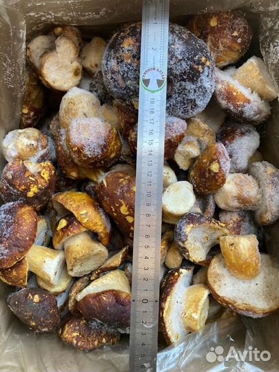 Грибы замороженные лесные