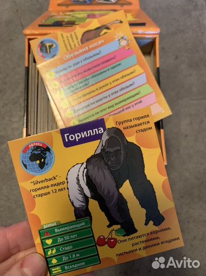 Настольные игры, лабиринт, сундучок знаний