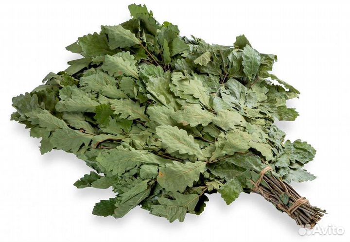 Веники дубовые