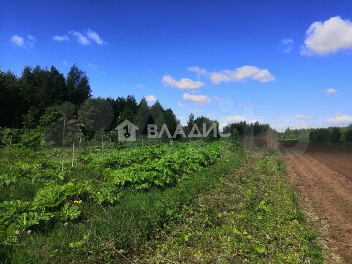 Участок 13 сот. (личное подсобное хозяйство (лпх))