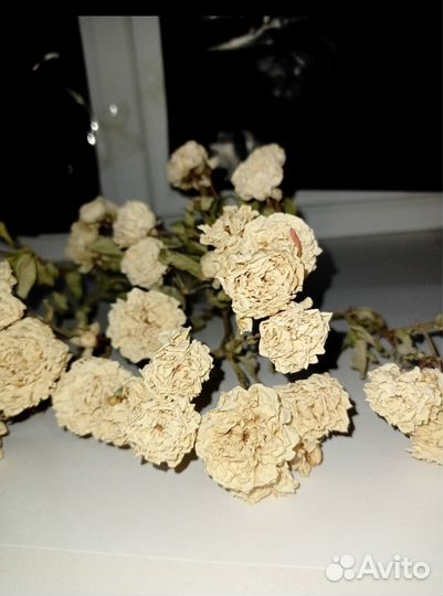 Розы сухие для творчества