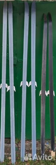 Лыжи беговые Elan