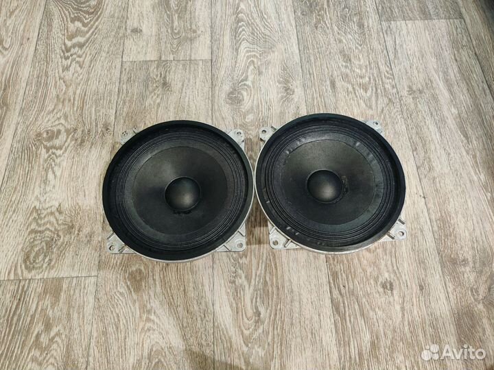Динамики 10гдш