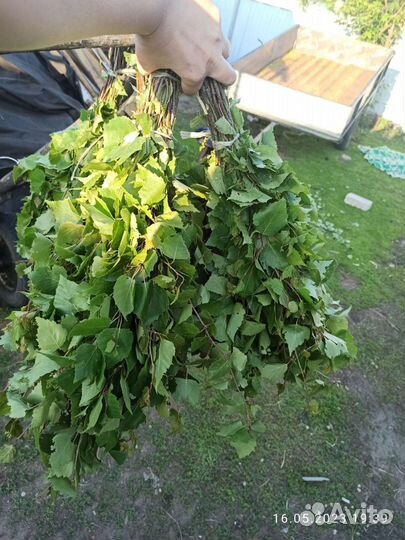 Дубовые, Березовые веники,свежие