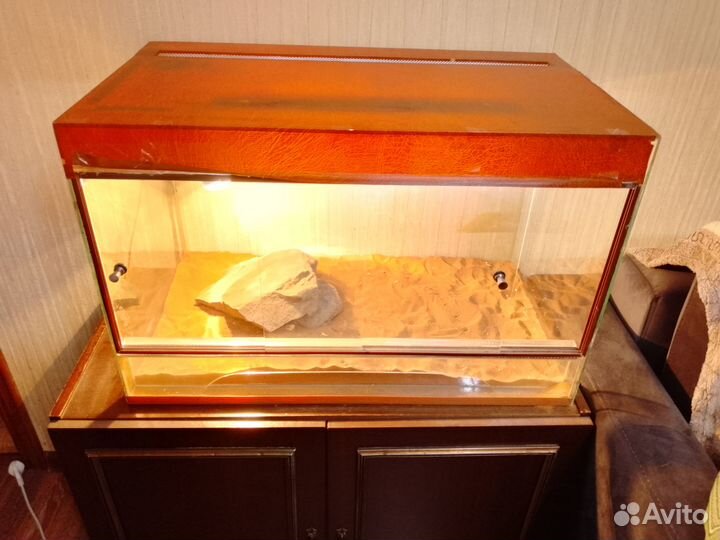 Террариум для рептилий (бородатая агама)