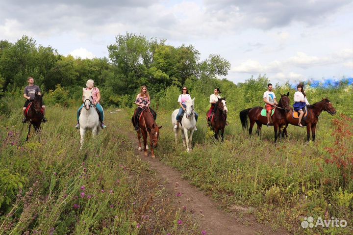 Прокат лошадей в Самаре/Прогулки по лесу верхом