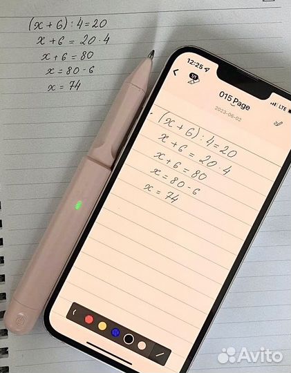 Микронаушник и цифровая ручка на сутки