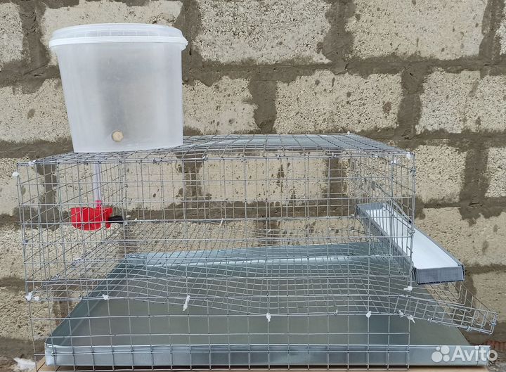 Клетка для перепелов