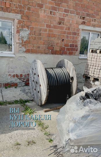 Кабель пввгнг