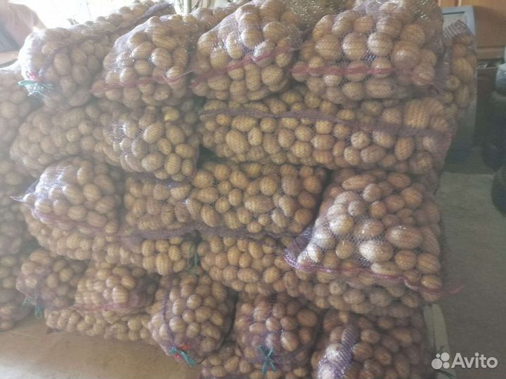 Картошка, картофель