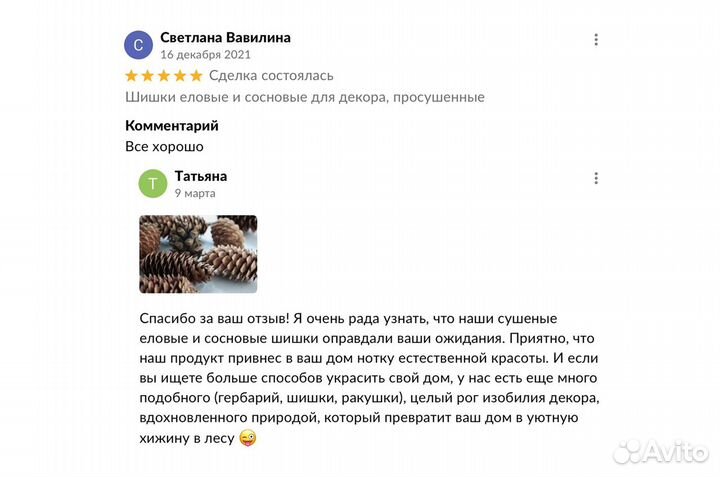 Еловые шишки для декора Шишки еловые на поделки