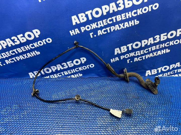 Проводка двери Renault Symbol седан 2008