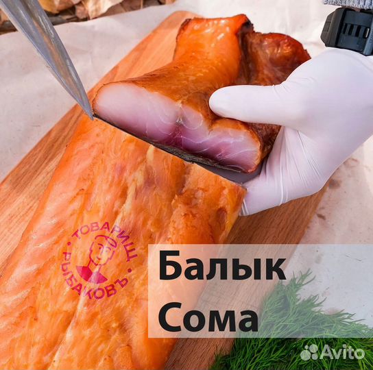 Астраханская вобла