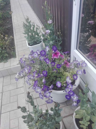 Дом 103 м² на участке 8 сот.