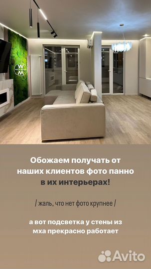 Панно из мха озеленение панели от производителя