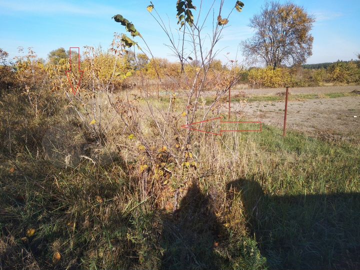 Участок 15 сот. (ИЖС)