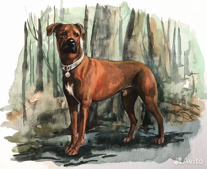 Портрет питомца по фото