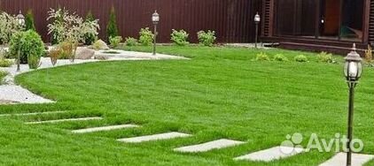 Продажа Рулонного газона