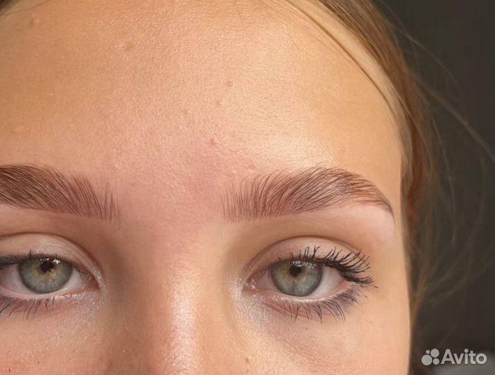 Бровист/лешмейкер