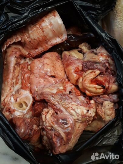 Продам говяжьи рубцы для собак