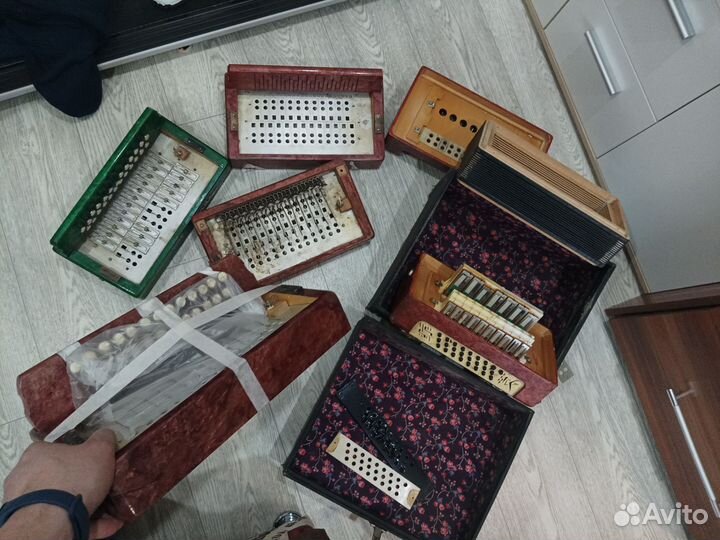 Гармонь чайка 2