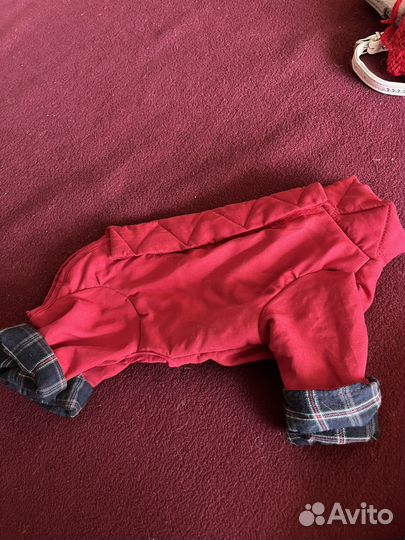 Одежда для маленьких собак